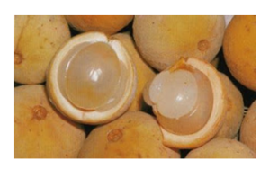 Duku