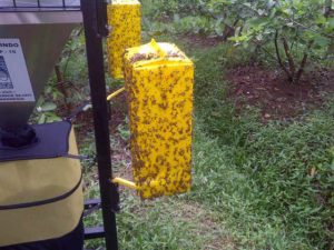 IMG-20160418-WA0011